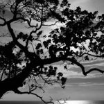 WhatsApp Image 2025-11-23 at 10.13.10_cccd9f11