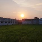 WhatsApp Image 2026-01-18 at 11.41.30