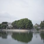 WhatsApp Image 2026-02-01 at 22.00.36